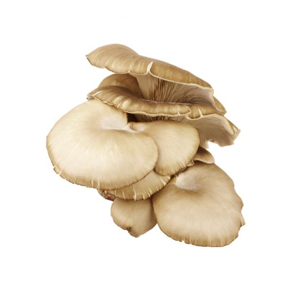 f94c1106-ce8c-4239-89bb-2648a22d9c15