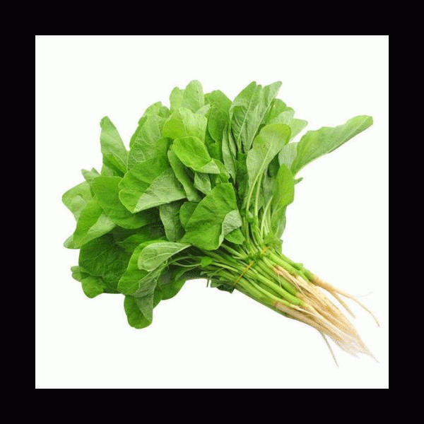 green-spinach_grande_943115601