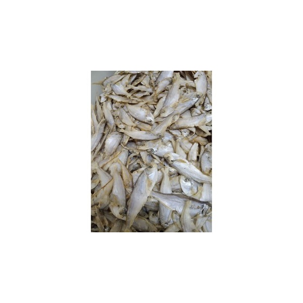 ikan_bulu_ayam_90gm