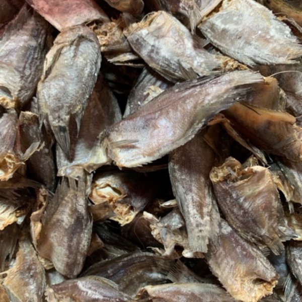 ikan_sepat_60gm
