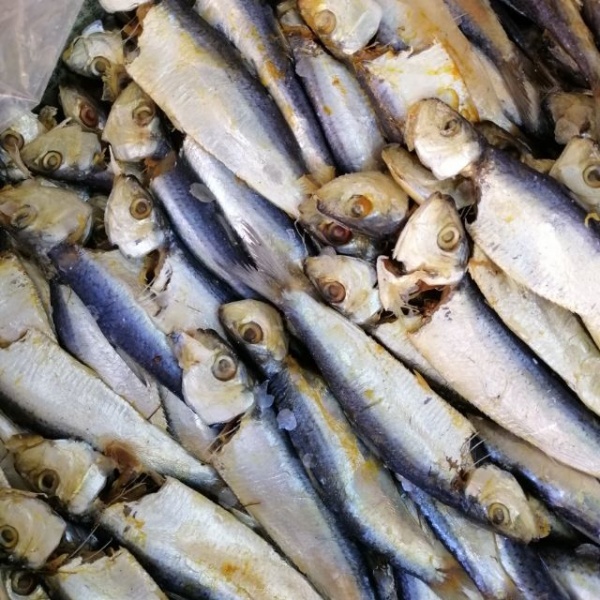 ikan_tamban_80gm