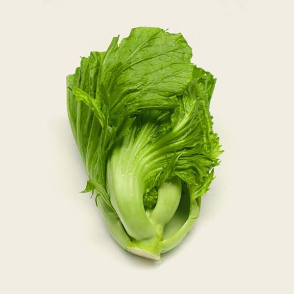 kai-choy_1496082096