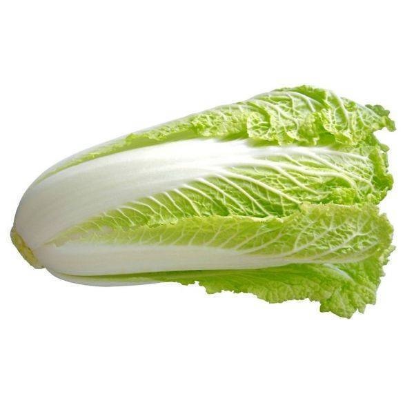 kobis-panjang-cabbage-chinesejpg_8_441702490