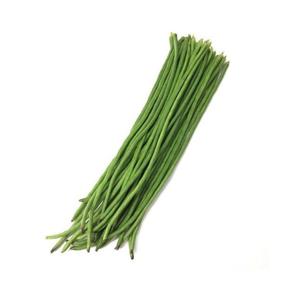 long-bean-seeds-p312-custom-e1525938155920_1772814783