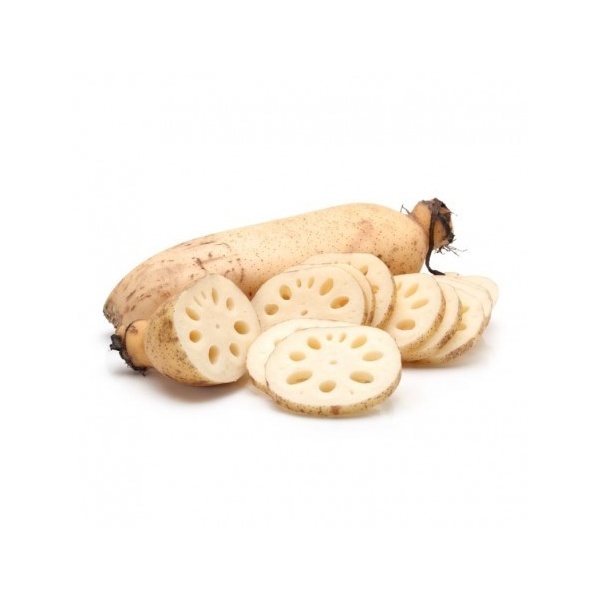 lotus-root-500x500_960798110