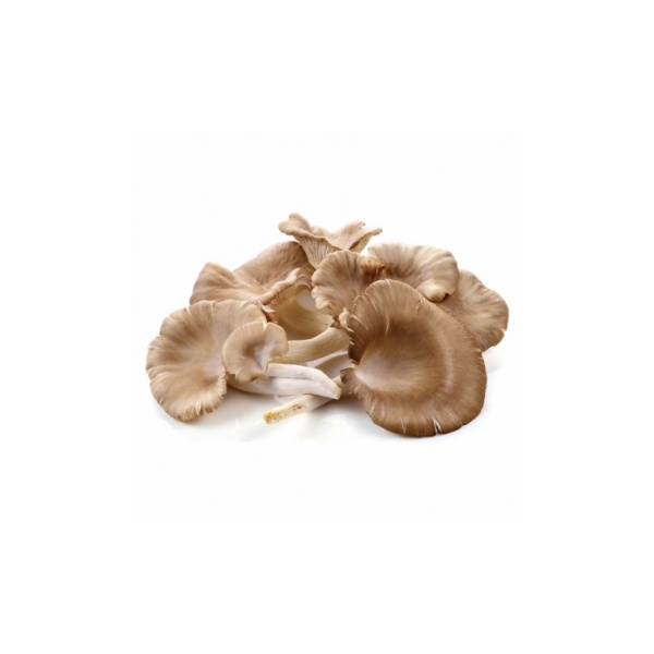 oyster-mushroom-200g_1532507795