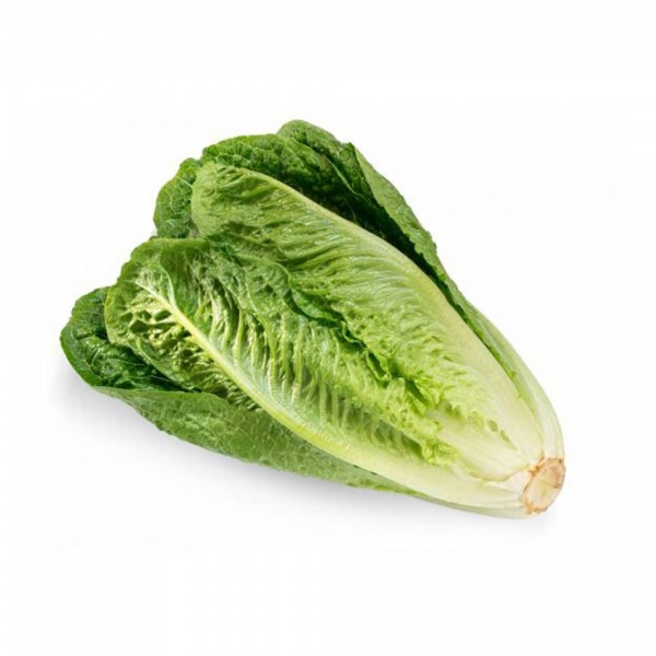 qtf_lettuce_romaine_image_2