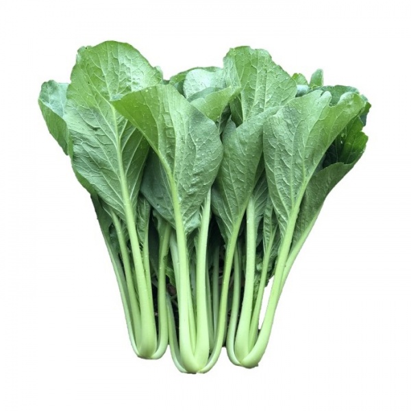 sawi-benih-seeds-sh610-custom_628828598