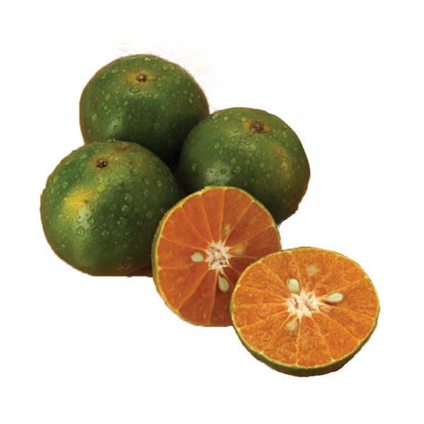 shottype1_540x540_276286163