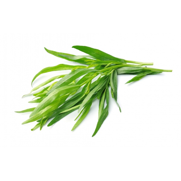 shutterstock_190425392-1