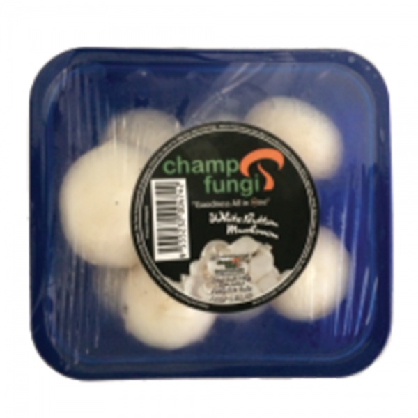 small_657d859f-a660-4ce7-b955-4f9965bf0043_png_729255533