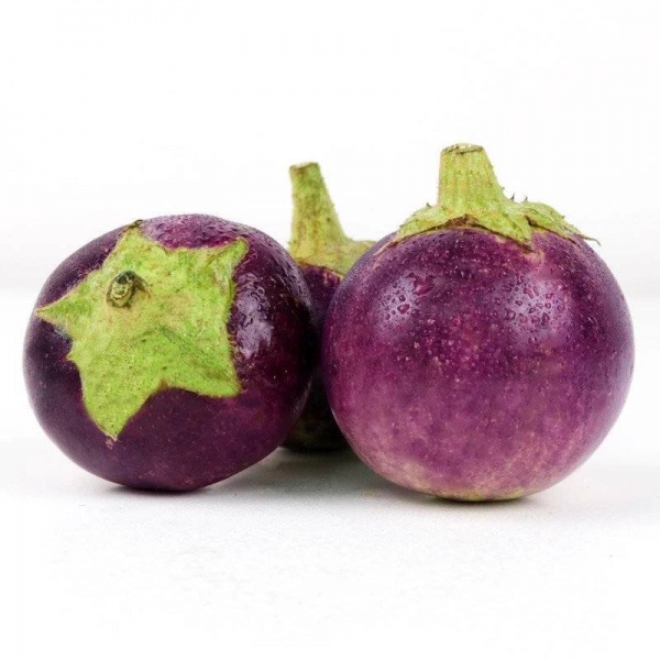 terung-bulat
