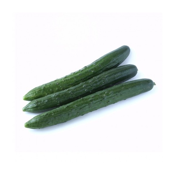 timun-jepun-515x515_339064508