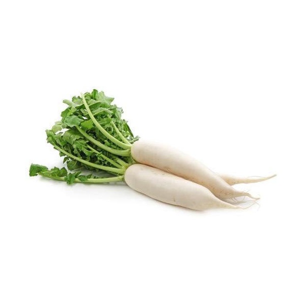 white-radish_812897399