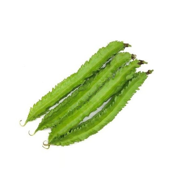 wing-bean-seeds-custom-e1526102257864_1283707448