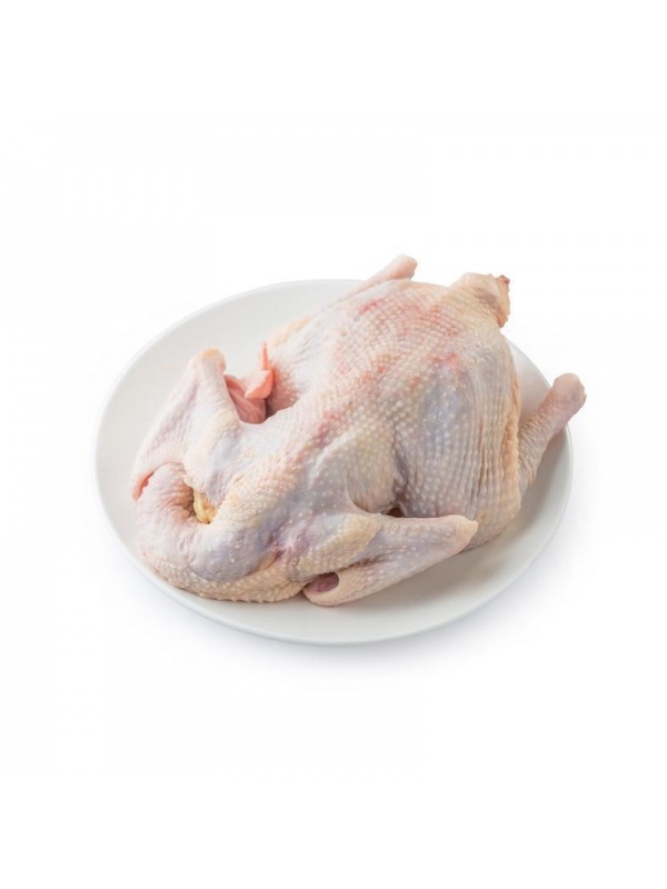 000019_chickenoldhen