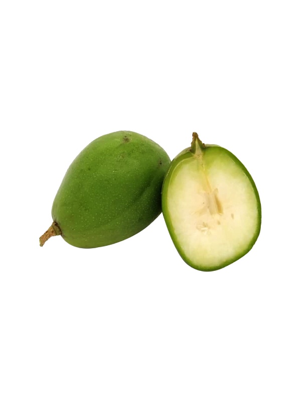 000062_kedondong_1913761502