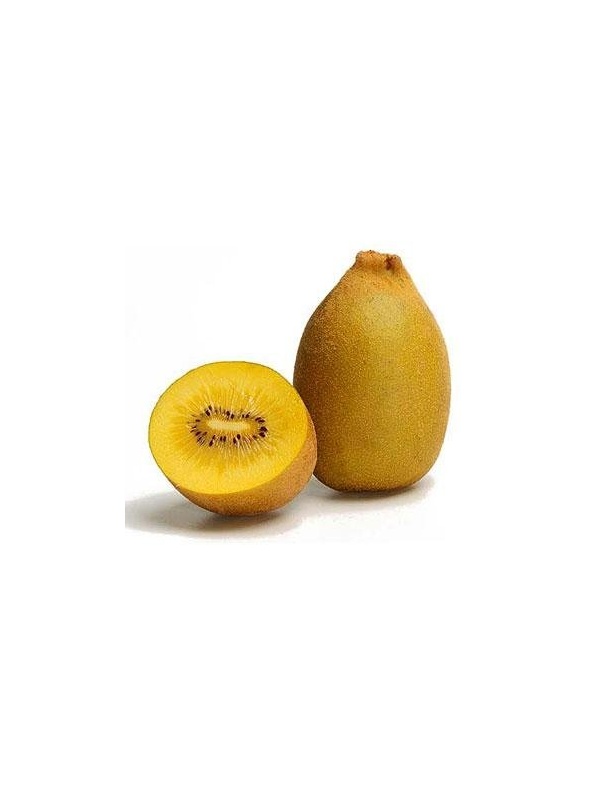 000108_golden_kiwi