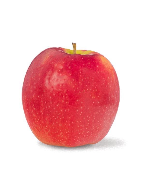 000125_pink_lady_apple_788147520