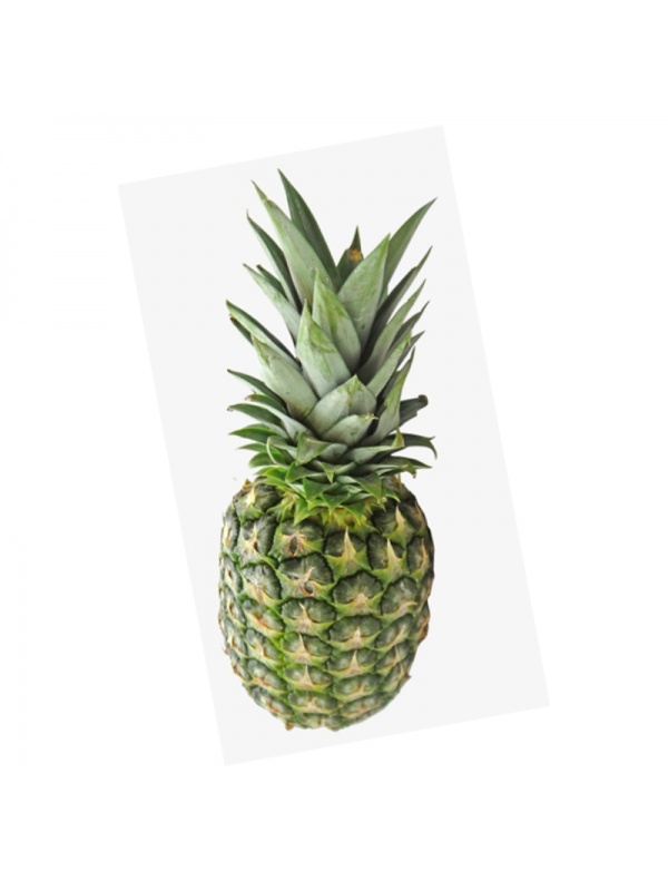 000142_nenas_sarawak_1125326455