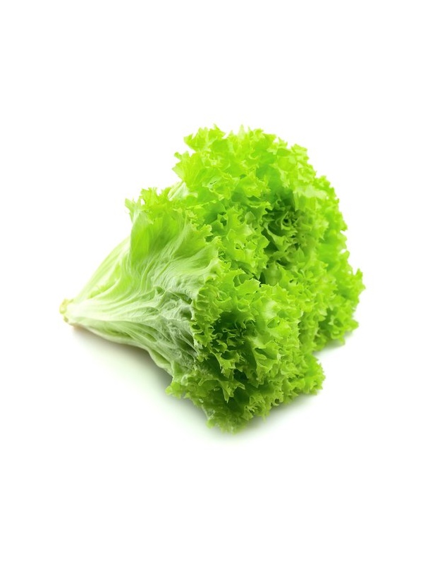 0b6f55ed-dfc0-4c73-a861-3c82a844e931_1892900807