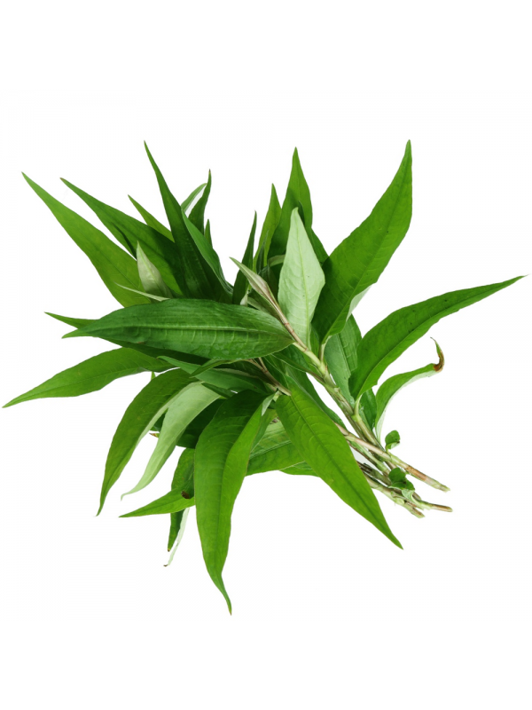 1597315095649-daun-kesumedited_jpeg