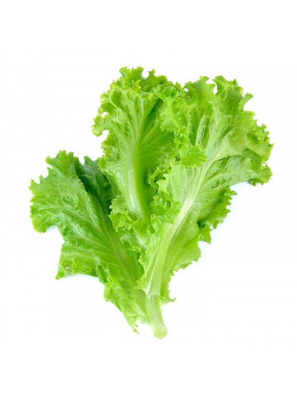 16-best-benefits-of-lettuce-for-skin-hair-and-health