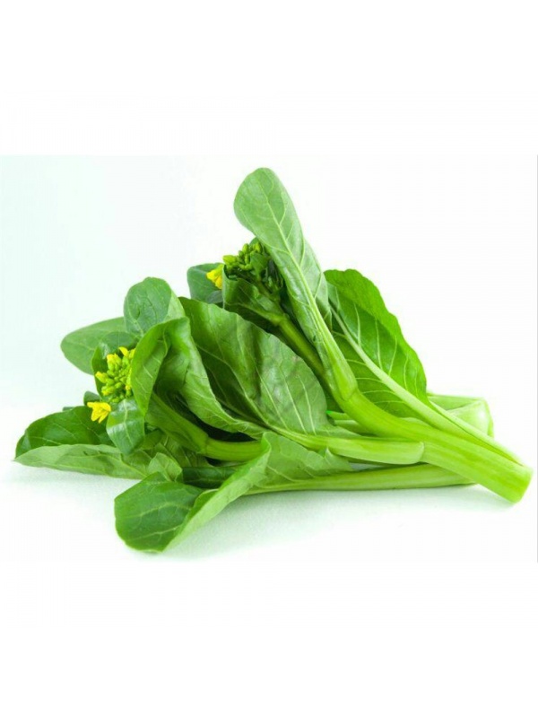 1d77201dcb598dacc6b6f7e9b9f054a1