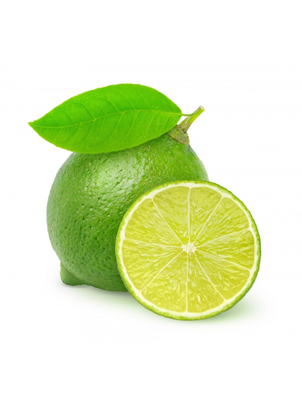 21584732-xl-03_15_778042_80027724