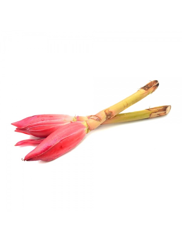 23888642-3816-447a-97ed-bb28649c9c45_327152742