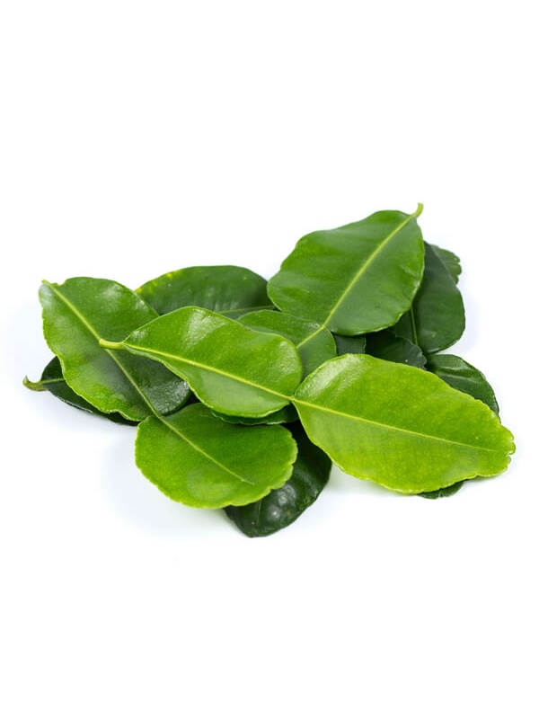 3d02f2ee-cdef-49ba-bcbf-c01a87a1de66_470289781