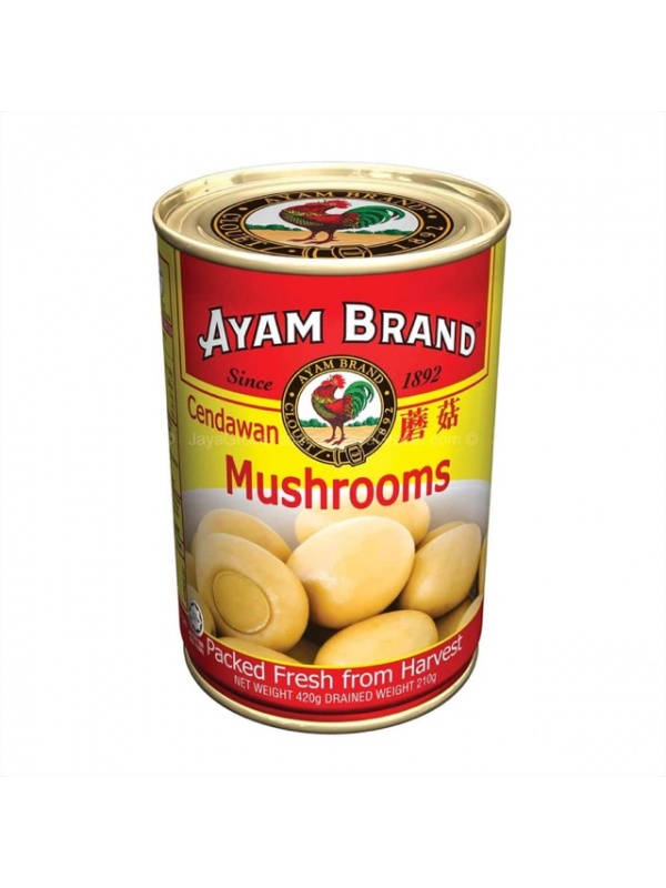 457ac729ffd1f80406230d97f4a8b166_411176541