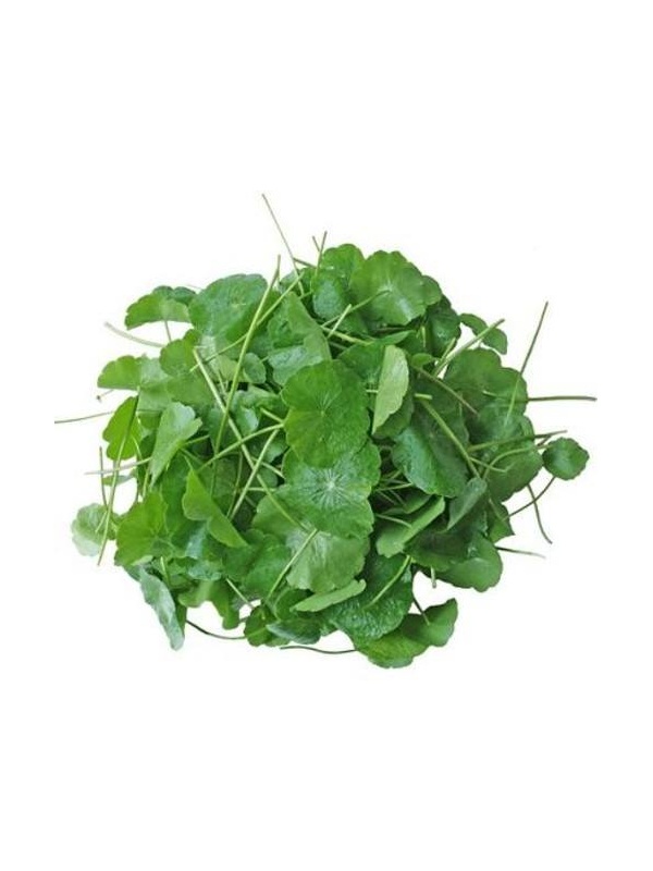 5486140_orig_1755001949