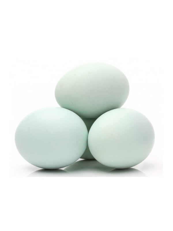 6a803e294ea72efc9c9afc118a845c85_368630794