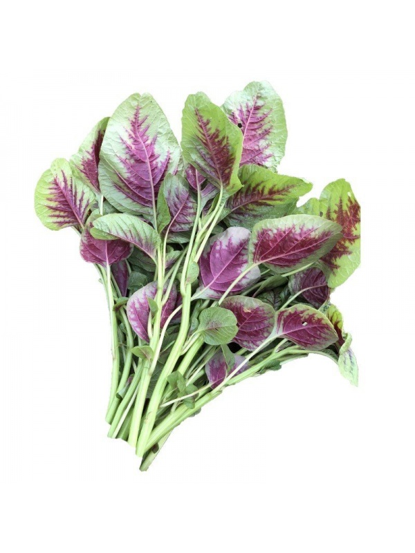 amaranth-seeds-benih-bayam-s133-1_651680996