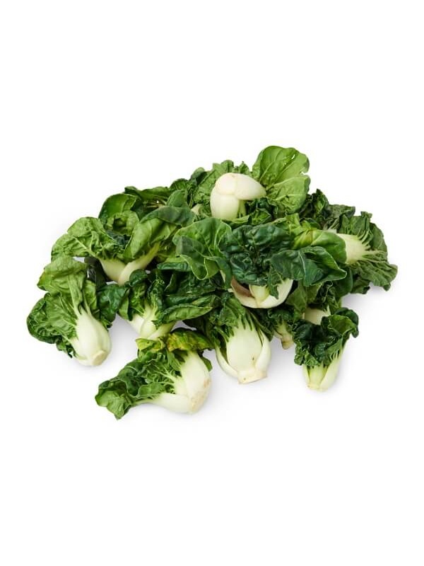 baby-nai-pak-3_2120009741