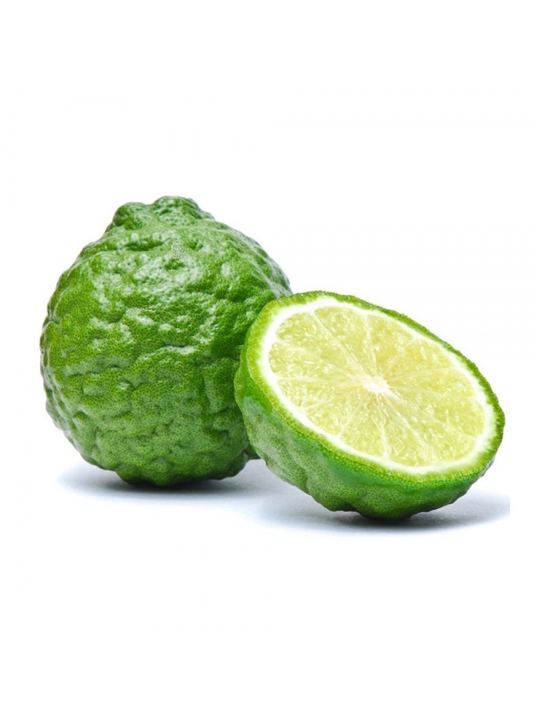 c22f5ba2892e4625909aca4ed3d22389_1267446883