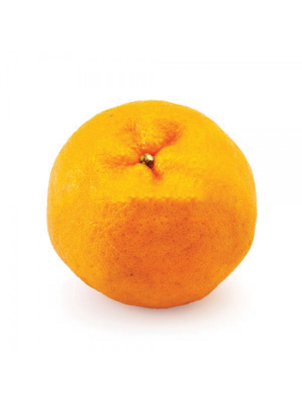 c96e0dfb8373889560f5bc60742f41d6fe7332be-original