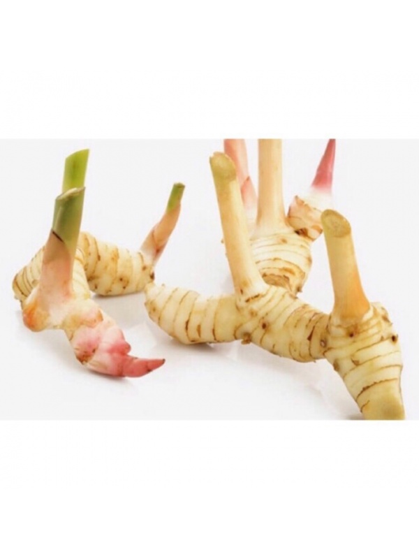 cac2a771bc74ed162d31e1447da88b01_944190845