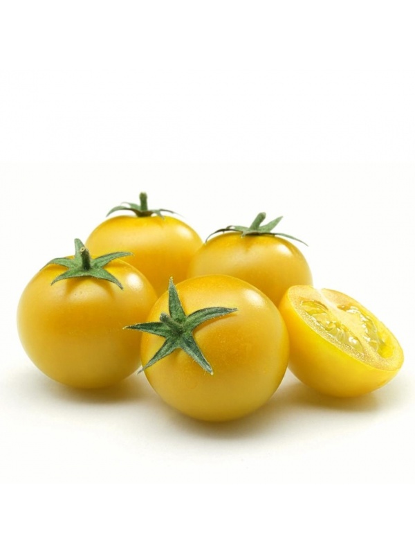 cherry-tomato-yellow
