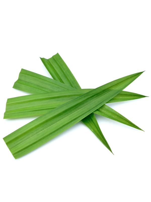 e50bc7c90ee2d9c30e28ab2fd7fcc5d5