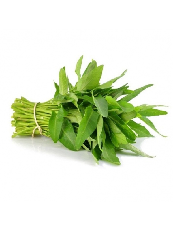 ee34f1ddd5d34d43cdace51de77e102e_1678225639