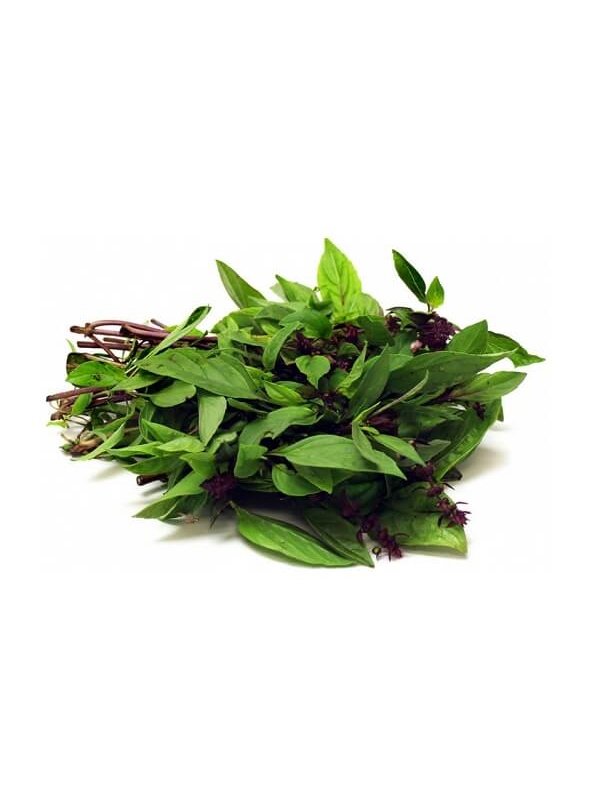 ee4bc73e-2d6e-4d06-8d16-e23c77bf6504