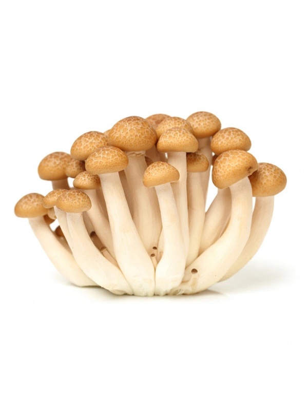 ezgif-7-cf8283abb14d_270966069