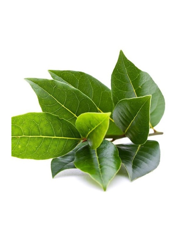 f7c394cf-6d71-407a-8666-b0b04f867ff2_43_1442167156