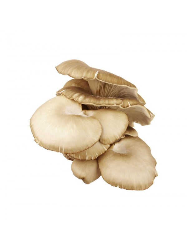 f94c1106-ce8c-4239-89bb-2648a22d9c15_1454236045