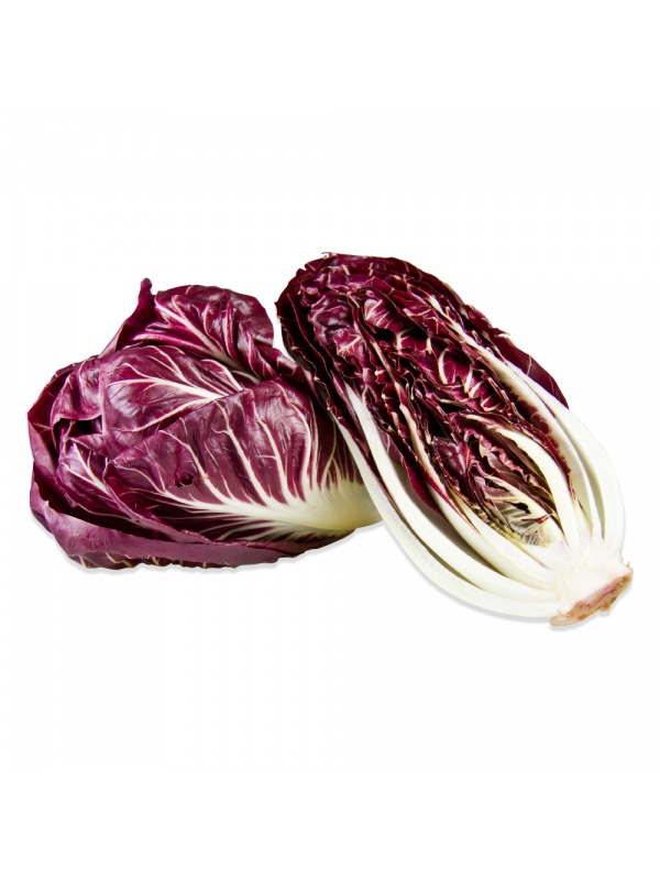 fresh-treviso-radicchio_trevisoradicchio-1