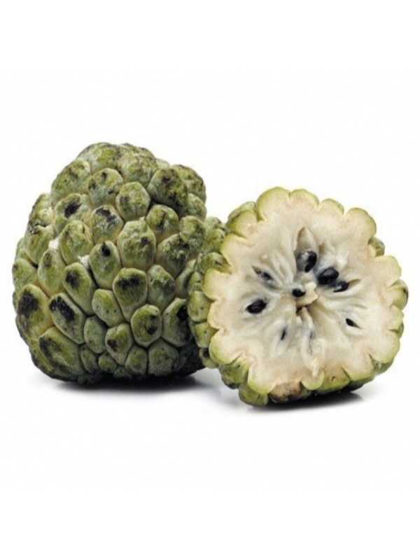 fruta-do-conde-novo1-c071ef09539c11c90f15899937516629-1024-1024