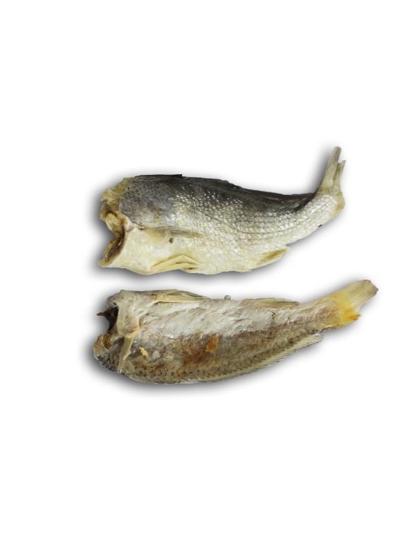 gelama_tanpa_kepala_150g