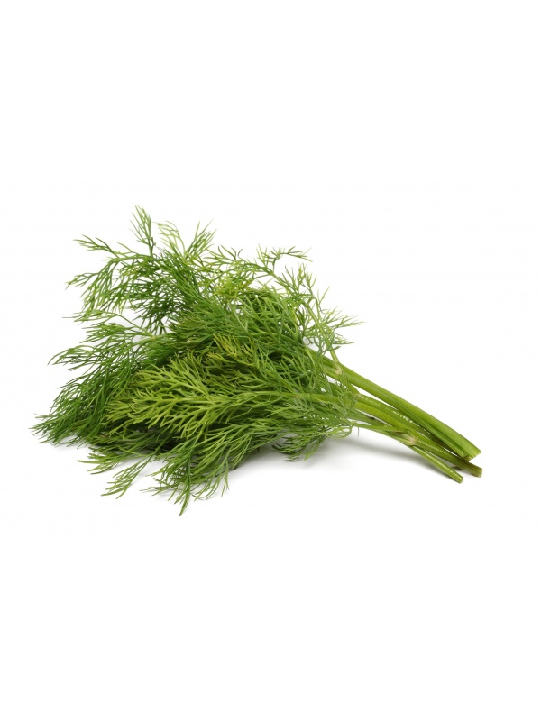 gettyimages-175449020-5843aec73df78c02304c43dd